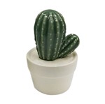 Ficha técnica e caractérísticas do produto Mini Vaso Decor Cactus Urban 41180
