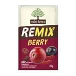 Ficha técnica e caractérísticas do produto Mix de Frutas Vermelhas Remix Mãe Terra 25g