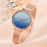 Ficha técnica e caractérísticas do produto Fashion Simple Ladies Watch Color Cool Frosted Dial Ladie Quartz Mesh Belt Watch