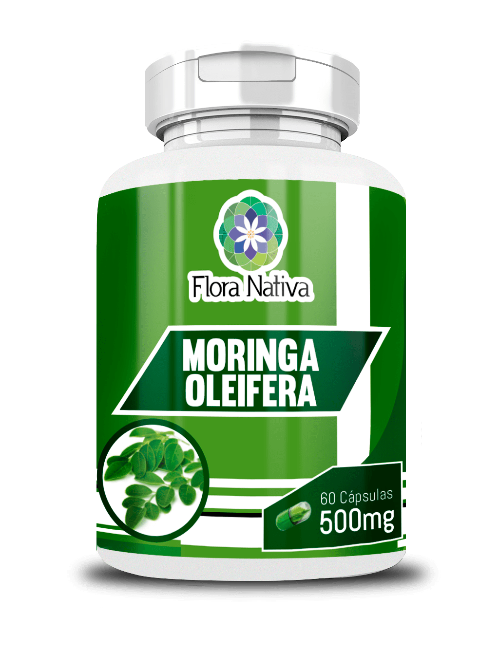 Ficha técnica e caractérísticas do produto Moringa Oleifera 60 Cápsulas