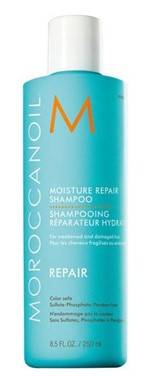 Ficha técnica e caractérísticas do produto Moroccanoil Moisture Repair Shampoo