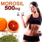 Ficha técnica e caractérísticas do produto Morosil 500 Mg Original 120 Cápsulas C/ Laudo Autenticidade