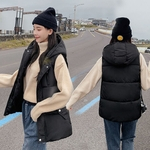 Ficha técnica e caractérísticas do produto Mshop Mulheres Quente Hoodie Vest Cor Sólida Senhora Colete Outono Inverno Jacket Brasão Com Bolsos