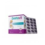 Ficha técnica e caractérísticas do produto Multivitamínico para Gestantes - Gestavit