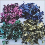 Ficha técnica e caractérísticas do produto Musgo Desidratado Colorido Saco Grande com aprox. 400 gramas