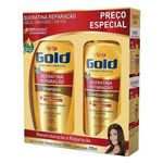 Ficha técnica e caractérísticas do produto Niely Gold Queratina Kit Shampoo 300ml + Condicionador 200ml