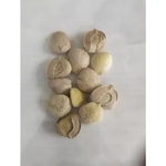 Ficha técnica e caractérísticas do produto Nozes da Índia 12 sementes