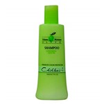 Ficha técnica e caractérísticas do produto Nppe Chihtsai Olive Shampoo - 500 Ml