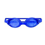 Ficha técnica e caractérísticas do produto Óculos de Mergulho - com Estojo - Azul - Zein