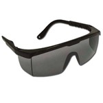 Óculos de Proteção Fenix Cinza | Danny Ca 9722
