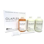 Ficha técnica e caractérísticas do produto Olaplex Kit Profissional Preventivo Nº1 e Nº2