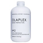 Ficha técnica e caractérísticas do produto Olaplex Salon Intro Tratamento Passo Nº2 Bond Perfector 525ml