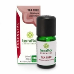 Ficha técnica e caractérísticas do produto Óleo Essencial Natural de Tea Tree (Melaleuca) 10ml – Terra Flor