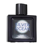 Ficha técnica e caractérísticas do produto Omerta Conscentra Silver Ocean Masculino Eau De Toilette 100ml