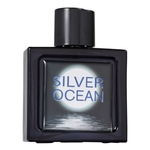 Ficha técnica e caractérísticas do produto Omerta Silver Ocean Edt 100ml