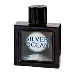 Ficha técnica e caractérísticas do produto Omerta Silver Ocean Masculino Eau de Toilette 100ml