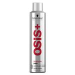 Ficha técnica e caractérísticas do produto Ossis+ Session Finish Schwarzkopf Professional - Spray Fixador