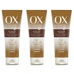 Ficha técnica e caractérísticas do produto Ox Oils Shampoo 240ml (Kit C/03)