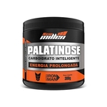Ficha técnica e caractérísticas do produto Palatinose - 300g - New Millen
