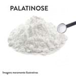 Palatinose Granel (500g)