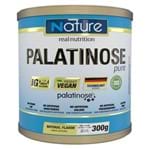 Ficha técnica e caractérísticas do produto Palatinose Pure Nature 300g