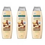 Ficha técnica e caractérísticas do produto Palmolive Castanha Shampoo 325ml (Kit C/03)
