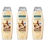 Ficha técnica e caractérísticas do produto Palmolive Castanha Shampoo 325ml - Kit com 03