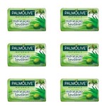 Ficha técnica e caractérísticas do produto Palmolive Hidratação Saudável Sabonete Aloe 85g - Kit com 06