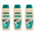 Ficha técnica e caractérísticas do produto Palmolive Naturals Cuidado Absoluto Shampoo 350ml (Kit C/03)