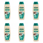 Ficha técnica e caractérísticas do produto Palmolive Naturals Cuidado Absoluto Shampoo 350ml (Kit C/06)