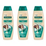 Ficha técnica e caractérísticas do produto Palmolive Naturals Cuidado Absoluto Shampoo 350ml - Kit com 03