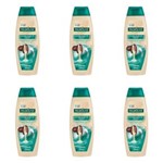 Ficha técnica e caractérísticas do produto Palmolive Naturals Cuidado Absoluto Shampoo 350ml - Kit com 06