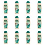Ficha técnica e caractérísticas do produto Palmolive Naturals Cuidado Absoluto Shampoo 350ml - Kit com 12