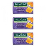 Ficha técnica e caractérísticas do produto Palmolive Naturals Nutrição e Suavidade Sabonete Geléia Real 85g (Kit C/03)
