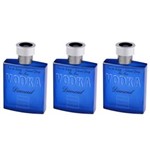 Ficha técnica e caractérísticas do produto Paris Elysees Vodka Diamond Perfume Masculino 100ml - Kit com 03