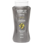 Ficha técnica e caractérísticas do produto Payot Shampoo Grisalho 300ml