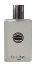Ficha técnica e caractérísticas do produto Perfume Acqua de Gio Masculino (contratipo) 100ml - Exallus