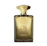 Ficha técnica e caractérísticas do produto Perfume Amouage Gold Man EDP M 100ML