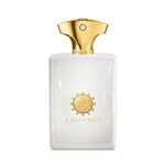 Ficha técnica e caractérísticas do produto Perfume Amouage Honour Man EDP M 100ML