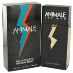 Ficha técnica e caractérísticas do produto Perfume Animale Eau de Toilette Masculino 100ML