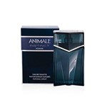 Ficha técnica e caractérísticas do produto Perfume Animale Instinct Homme - Animale - 100ml - Masculino