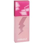 Ficha técnica e caractérísticas do produto Perfume Animale Love Feminino - Eau de Parfum - 100 Ml