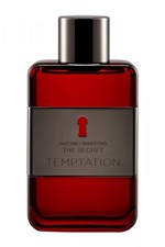 Ficha técnica e caractérísticas do produto Perfume Antonio Banderas The Secret Temptation Eau de Toilette Masculino 50ML