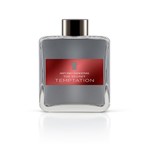 Ficha técnica e caractérísticas do produto Perfume Antonio Banderas The Secret Temptation Masculino 200ml