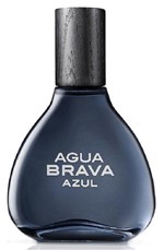 Perfume Antonio Puig Azul Eau de Toilette M 100ML - Salvatore Ferragamo