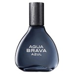 Ficha técnica e caractérísticas do produto Perfume Antonio Puig Azul Eau de Toilette Masculino 100ML