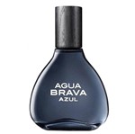 Ficha técnica e caractérísticas do produto Perfume Antonio Puig Azul Eau de Toilette Masculino 50ML