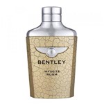Ficha técnica e caractérísticas do produto Perfume Bentley Infinite R. EDT M 100ML
