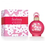 Ficha técnica e caractérísticas do produto Perfume Britney Fantasy In Bloom Fem 100ml