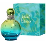 Ficha técnica e caractérísticas do produto Perfume Britney Fantasy Island Fem 100ml